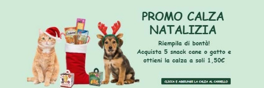 Volantino L'ora degli animali