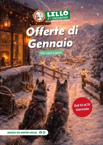 Lillo e i vagabondi - 36bcc11f 5afb 4941 95dd 888faeff0159 VolantinoGennaio26 Web