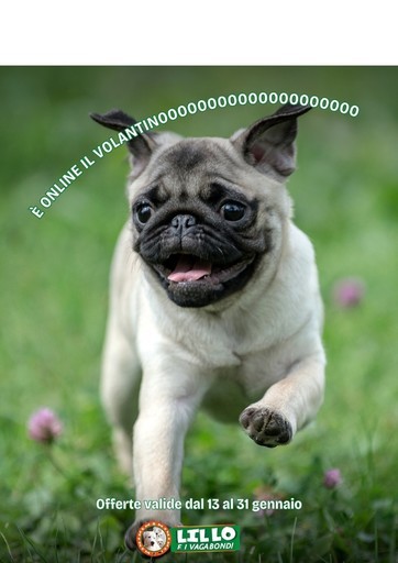 Lillo e i vagabondi - Offerte Lillo e i vagabondi