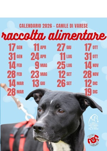 Volantino Iper Animal