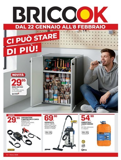 Volantino Brico OK