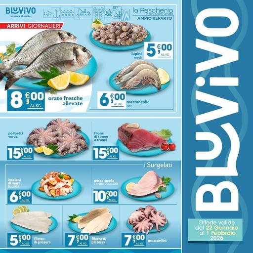 BluVivo - Arrivi giornalieri