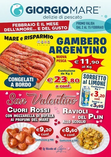 Volantino Giorgio Mare