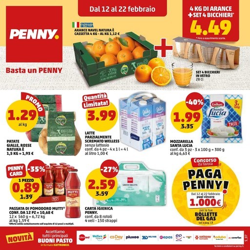 Volantino PENNY