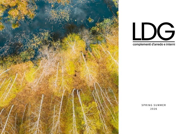 Volantino LDG