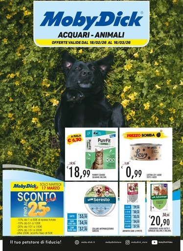 Volantino MobyDick