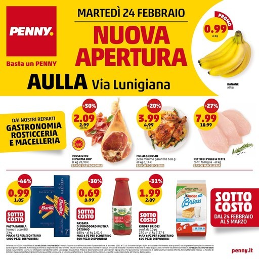 Volantino PENNY
