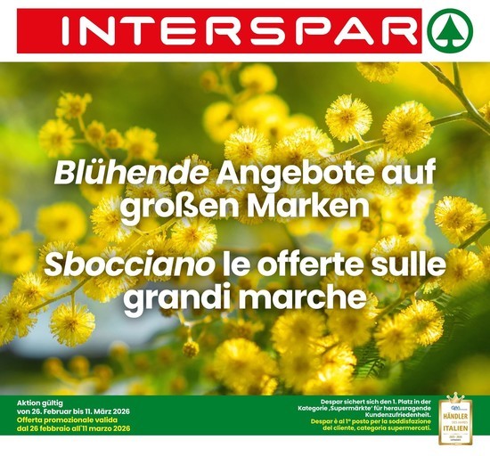 Volantino Interspar