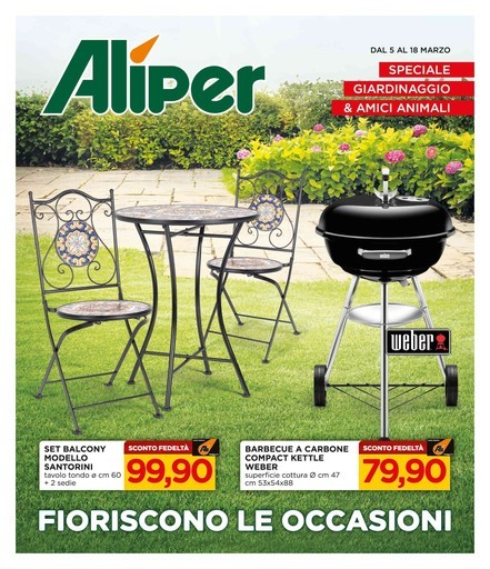 Volantino Alì Supermercati