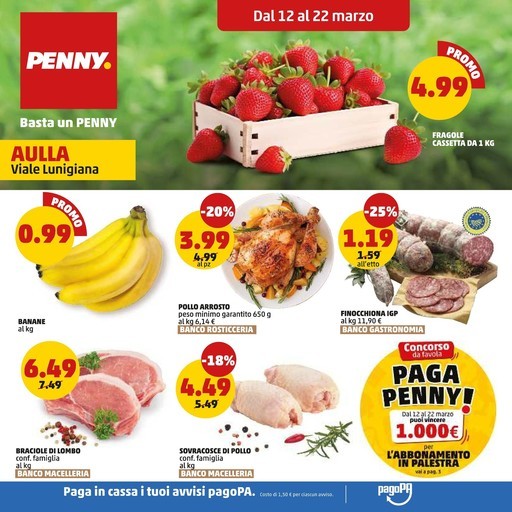 Volantino PENNY