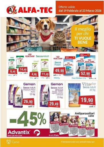 Volantino Alfa Tec