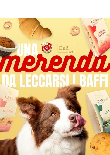 Volantino Iper Animal