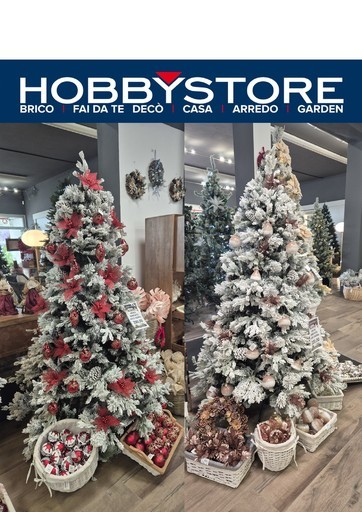 Volantino Hobby store