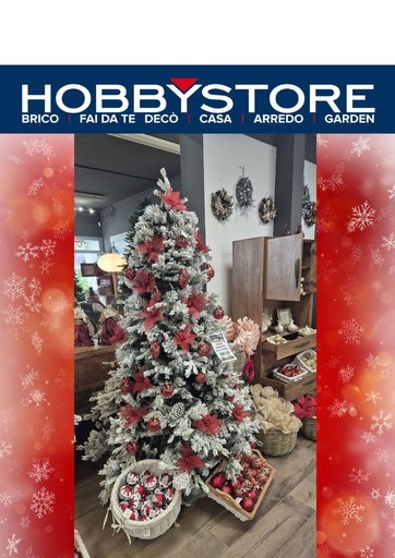 Volantino Hobby store