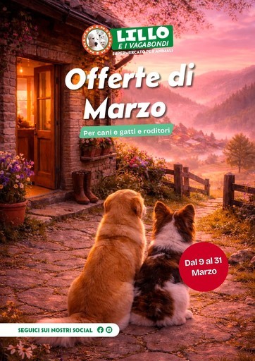 Volantino Lillo e i vagabondi