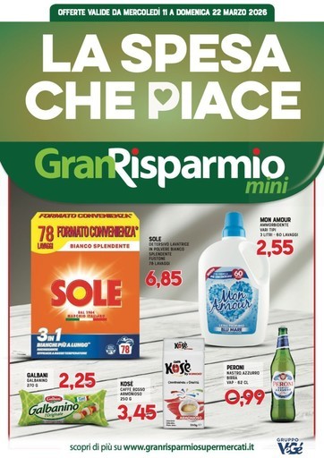 Volantino Supermercati Gran Risparmio