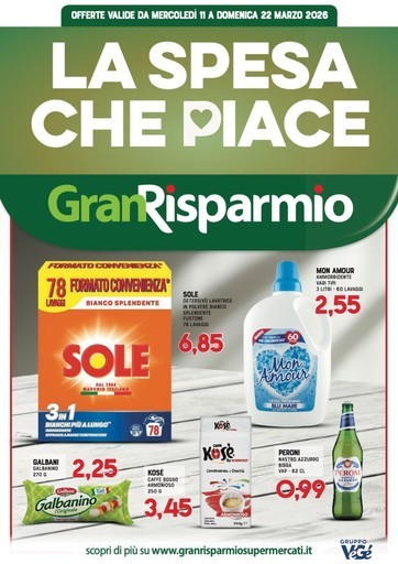 Supermercati Gran Risparmio - La spesa che piace