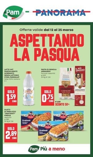 Volantino Panorama