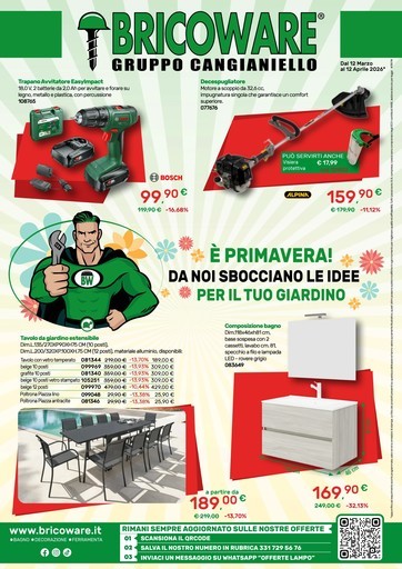 Volantino Bricoware
