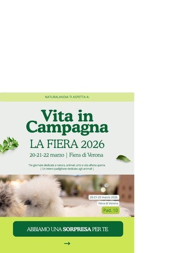 Volantino Naturalandia