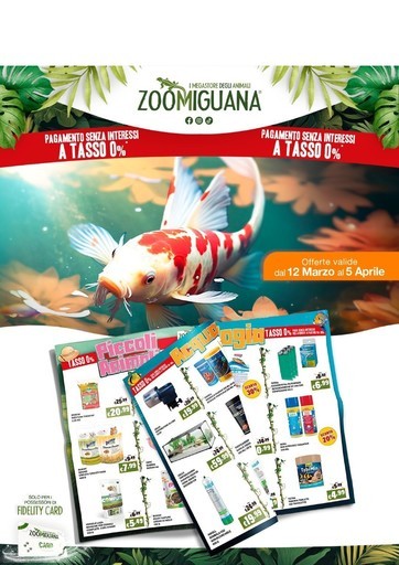 Volantino Zoomiguana
