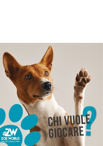 Volantino Zoe World