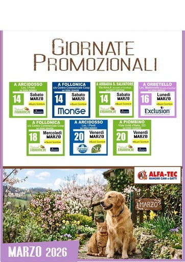 Volantino Alfa Tec