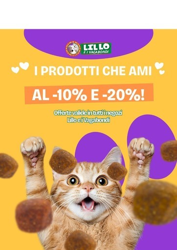 Volantino Lillo e i vagabondi