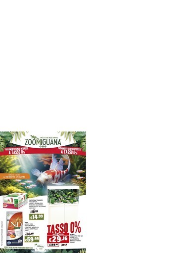 Volantino Zoomiguana