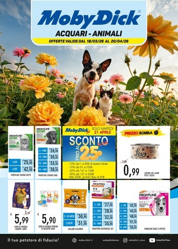 Volantino MobyDick