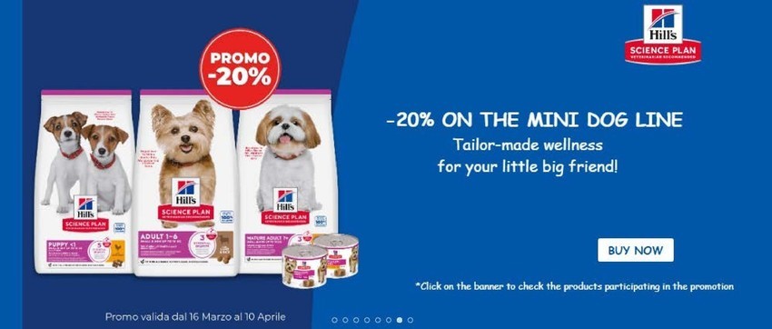 Volantino L'ora degli animali