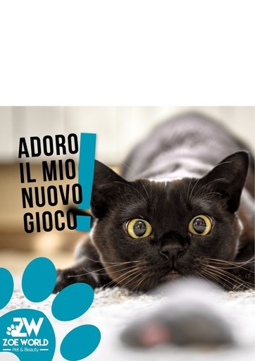 Volantino Zoe World