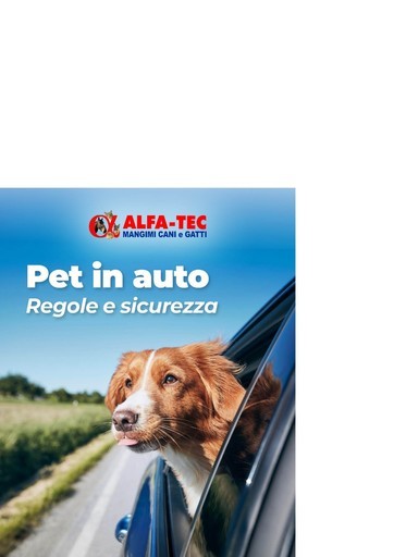 Volantino Alfa Tec