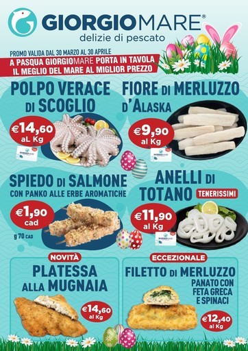 Volantino Giorgio Mare