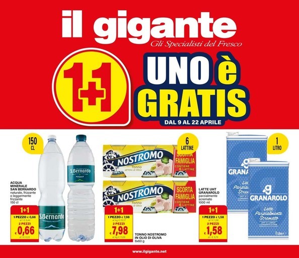 Volantino Il gigante