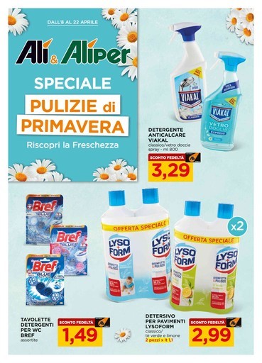 Volantino Alì Supermercati