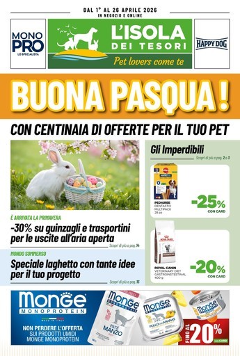 Volantino L'Isola dei Tesori