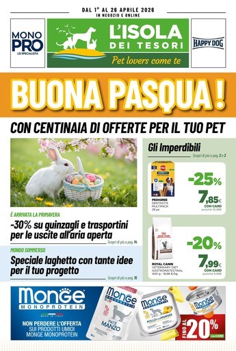 Volantino L'Isola dei Tesori