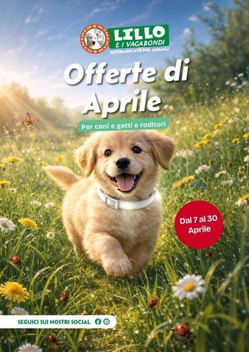 Volantino Lillo e i vagabondi