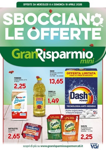 Volantino Supermercati Gran Risparmio