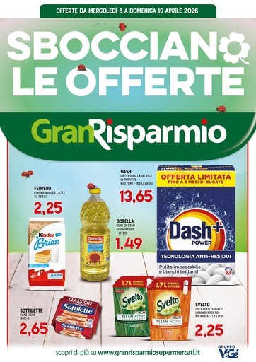 Volantino Supermercati Gran Risparmio
