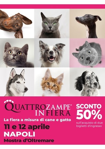 Volantino Quattrozampeinfiera