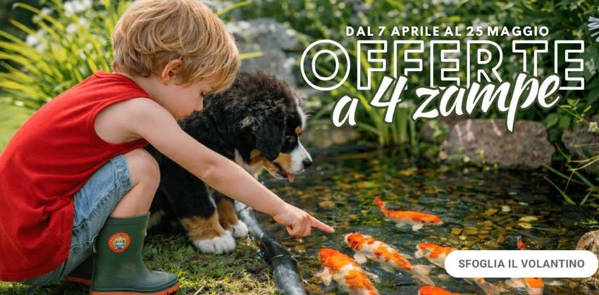 Volantino Giardineria