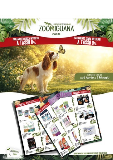 Volantino Zoomiguana