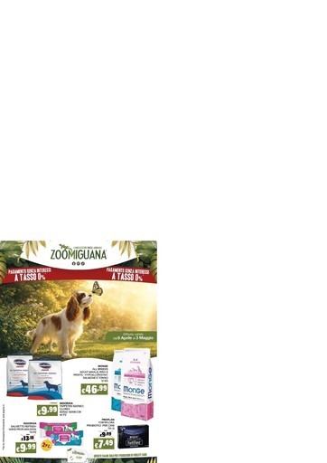 Volantino Zoomiguana