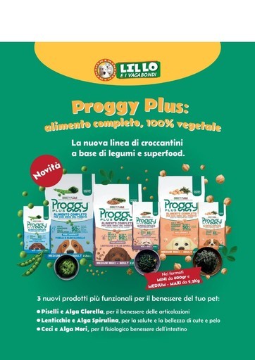 Volantino Lillo e i vagabondi