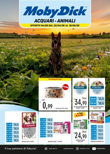 Volantino MobyDick