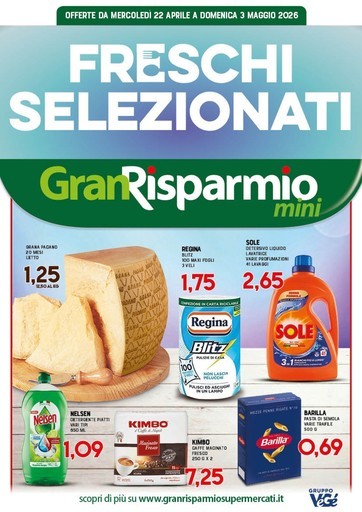 Volantino Supermercati Gran Risparmio