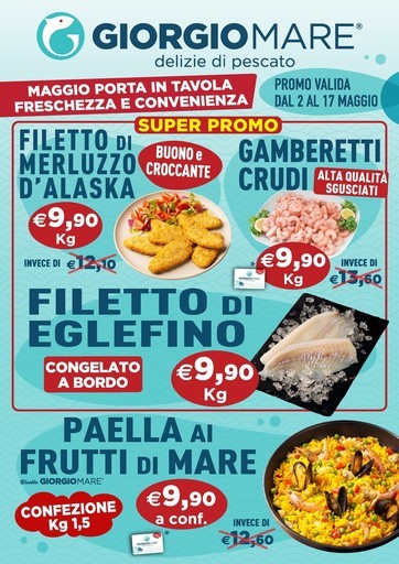 Volantino Giorgio Mare