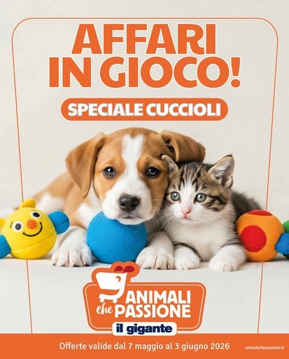 Il gigante - Affari in gioco!